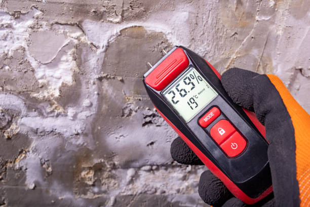 Attic Mold Removal in Plainfield, IN