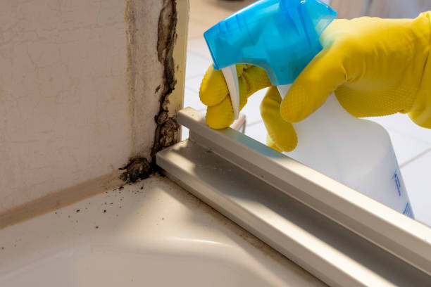 Crawl Space Mold Removal in Plainfield, IN