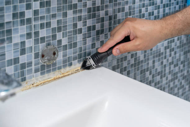 Best Fast Mold Removal  in Plafield, IN
