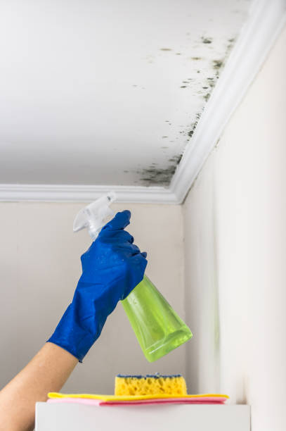 Best Mold Testing  in Plafield, IN